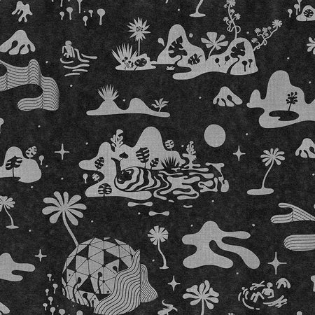 Oasis - Ghost Plant Wallpaper