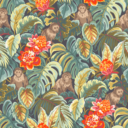 Capuchin - Papagayo Wallpaper