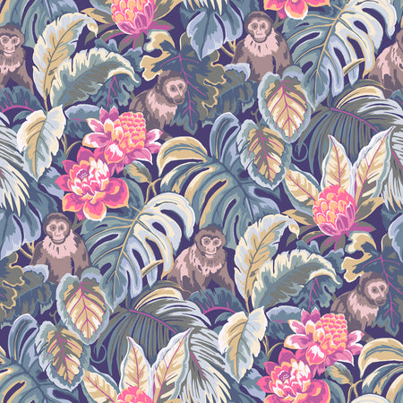 Capuchin - Tortuga Wallpaper