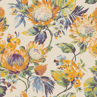 Protea - Kilimanjaro Wallpaper