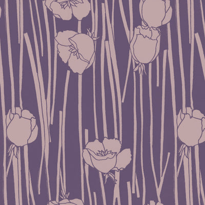 Cascading Blooms - Achillea Wallpaper