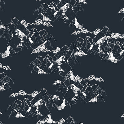 Alpine - Snowfield Wallpaper