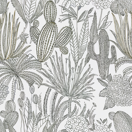 Cactus Garden - New Mexico Wallpaper