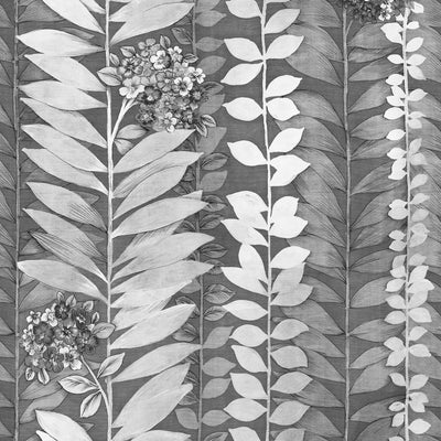 Climbing Hydrangea - Anomala Wallpaper