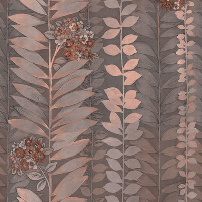 Climbing Hydrangea - Hortensia Wallpaper