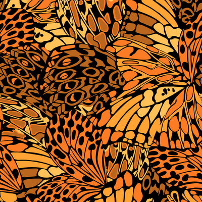 Butterfly - Orange Wallpaper