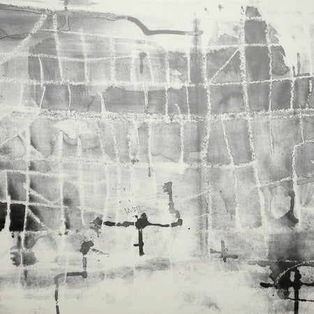 Cartogram - Locale Mural