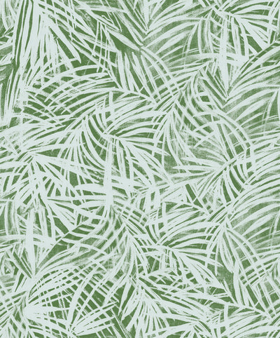 Areca Palm - Fern Wallpaper