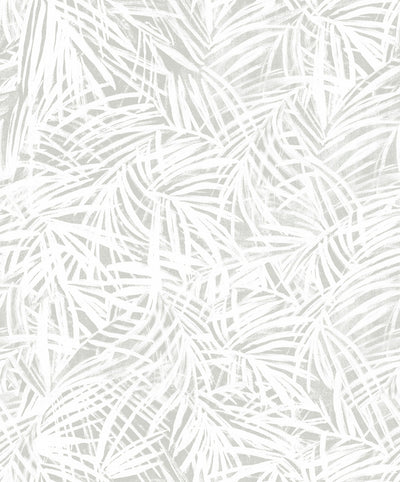 Areca Palm - Laurel Wallpaper