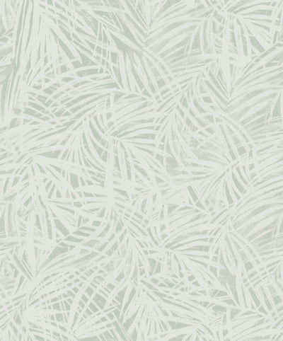 Areca Palm - Sage Wallpaper