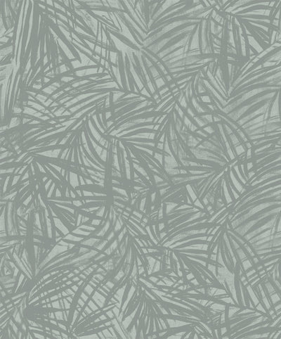 Areca Palm - Tea Wallpaper