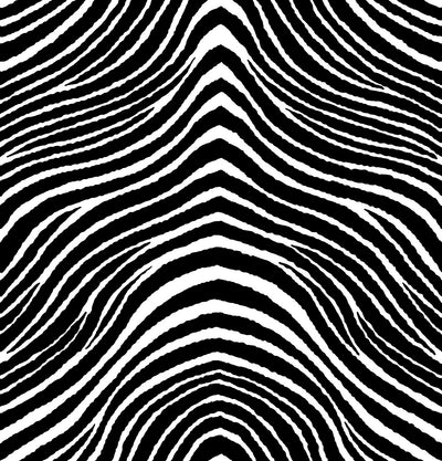 Zebra Zeal - Basalt Wallpaper