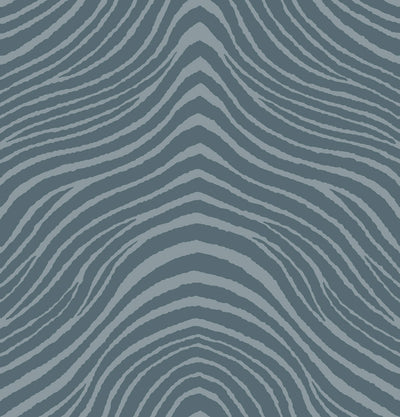 Zebra Zeal - Pebble Wallpaper