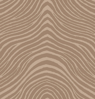 Zebra Zeal - Sand Wallpaper