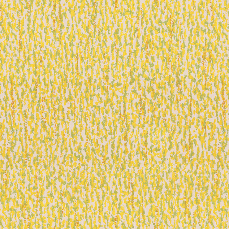 Marin - Daffodil Wallpaper