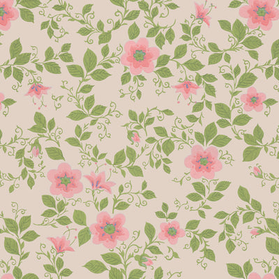 Morning Glory - Pink Wallpaper