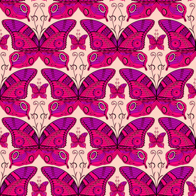 Painted Lady - Pink Wallpaper