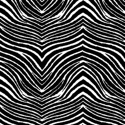 Sweet Zebra - Black and White Wallpaper