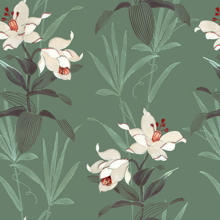 Daylily Wallpaper