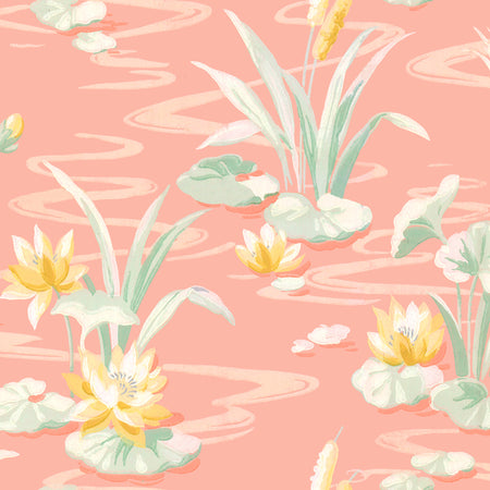 Water Lilies Wallpaper