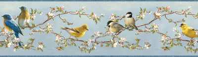Daphne Blue Songbird Trail Border Wallpaper