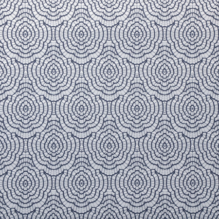 Charlotte's Lace - Navy Wallpaper