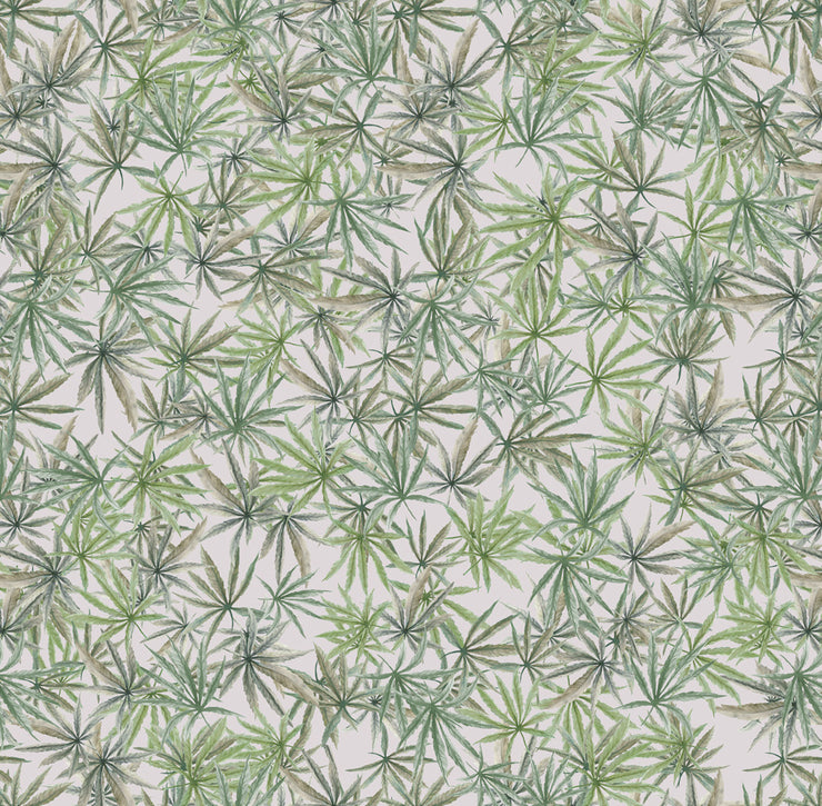 Mary Jane - Green on Featherweight Wallpaper