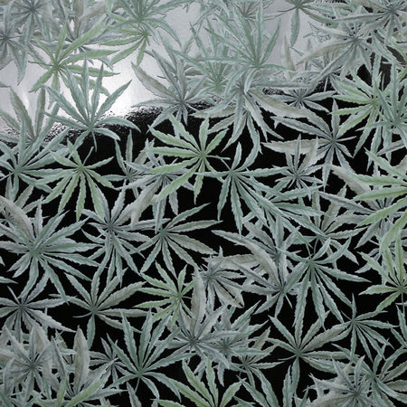 Mary Jane - Green on Black Wallpaper