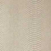 Reptile - White Wallpaper