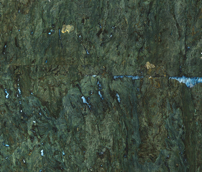 Forest Cork Wallpaper