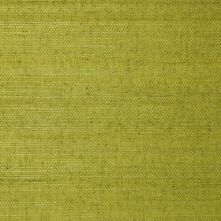 Sisal - Moss Green Wallpaper