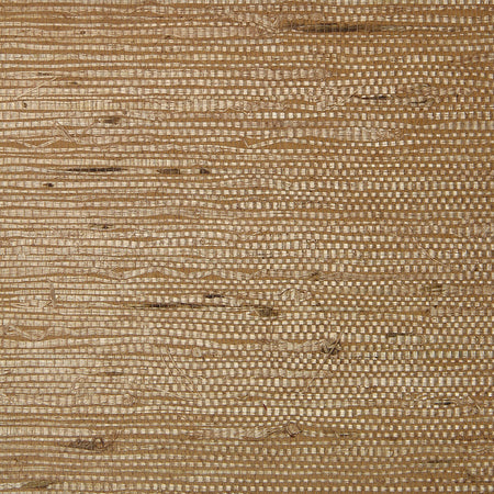 Fine Arrowroot - Beige Wallpaper