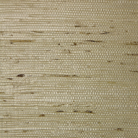 Fine Arrowroot - Silver Grey Wallpaper