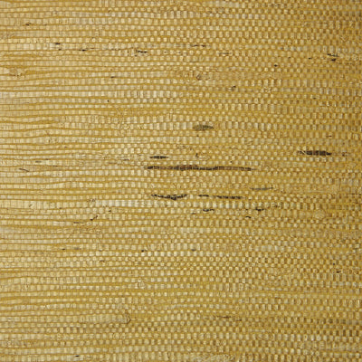 Fine Arrowroot - Golden Yellow Wallpaper