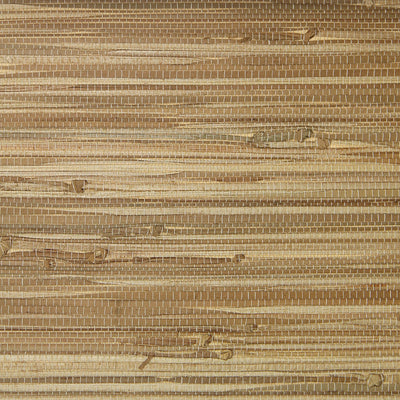 Grasscloth - Beige on Tan Wallpaper