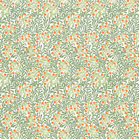Fruit Botanical - Olive Wallpaper