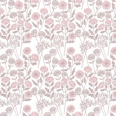 Morning Seedheads - Blush Wallpaper
