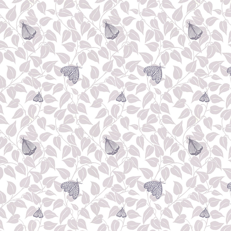 Summer Moth - Grey Wallpaper