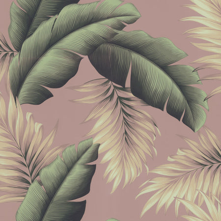 Koko Head - Summit Wallpaper