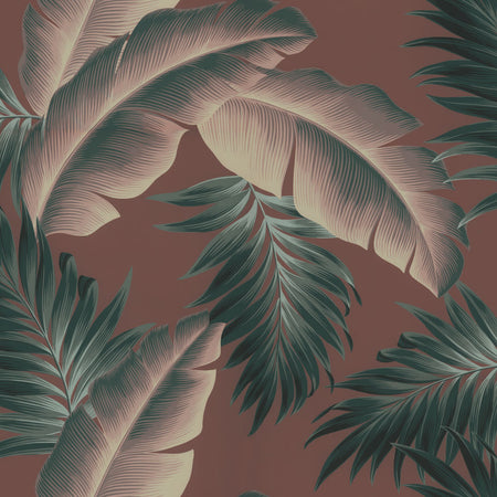 Koko Head - Zenith Wallpaper