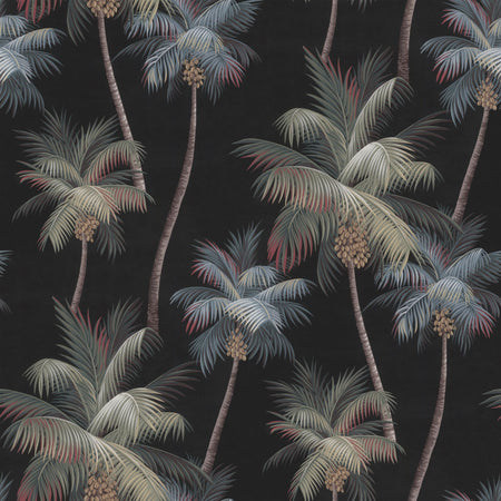 Poipu - Queen Palm Wallpaper