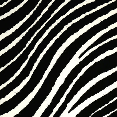 Zebra Stripes - White and Black Velvet Wallpaper