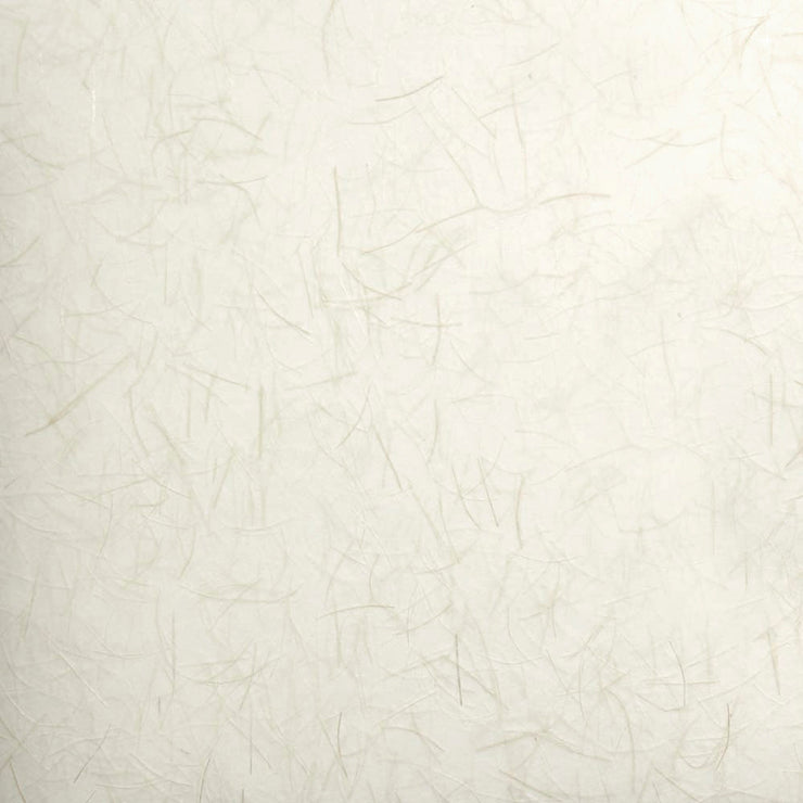 Armadillo Wagtail Wallpaper
