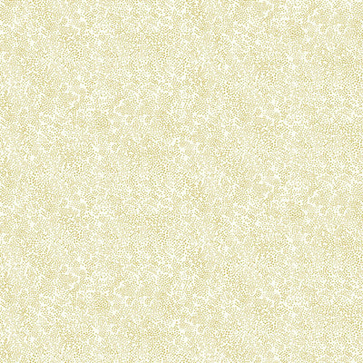 Champagne Dots Wallpaper - Gold/White Wallpaper