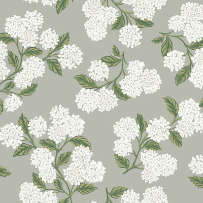 Hydrangea Wallpaper - Gray Wallpaper
