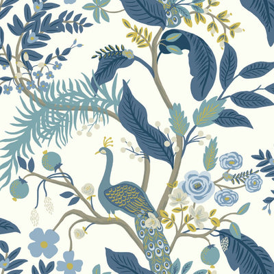 Peacock Wallpaper - Blue/White Wallpaper