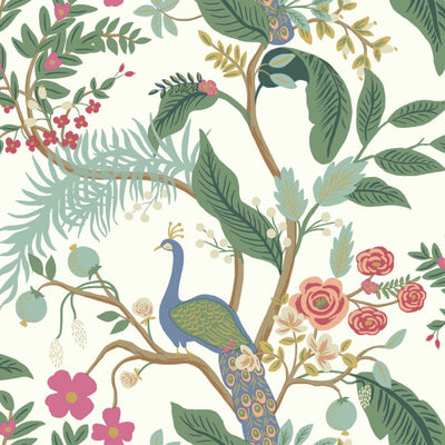 Peacock Wallpaper - Periwinkle Wallpaper