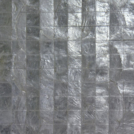 Pearls of South Asia