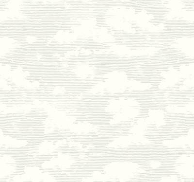 Cloud Cover Wallpaper - Gray Wallpaper