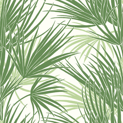 Palmetto Wallpaper - Green Wallpaper